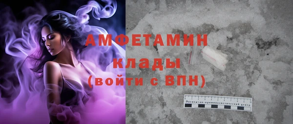 PSILOCYBIN Алзамай