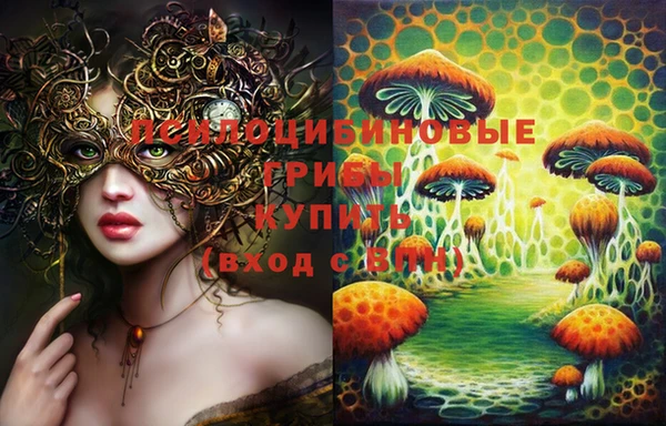 PSILOCYBIN Алзамай