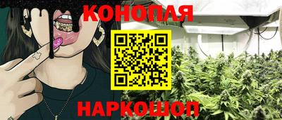 сатива Рыбинск