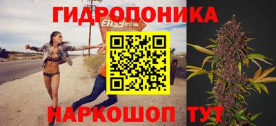МДПВ Пугачёв