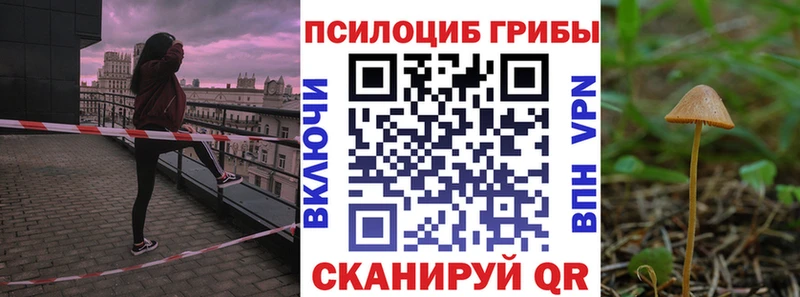 ОМГ ОМГ tor хочу Югорск Псилоцибиновые грибы MAGIC MUSHROOMS
