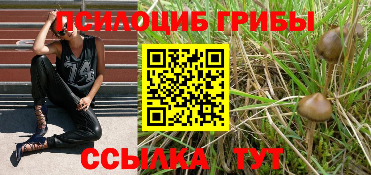 где найти   Псилоцибиновые грибы ЛСД  Вход с VPN  Галлюциногенные грибы Psilocybe  Югорск 
